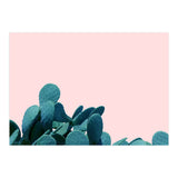 Kaktos (Print Only) thumbnail