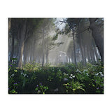 Art In The Forest (Print Only) thumbnail