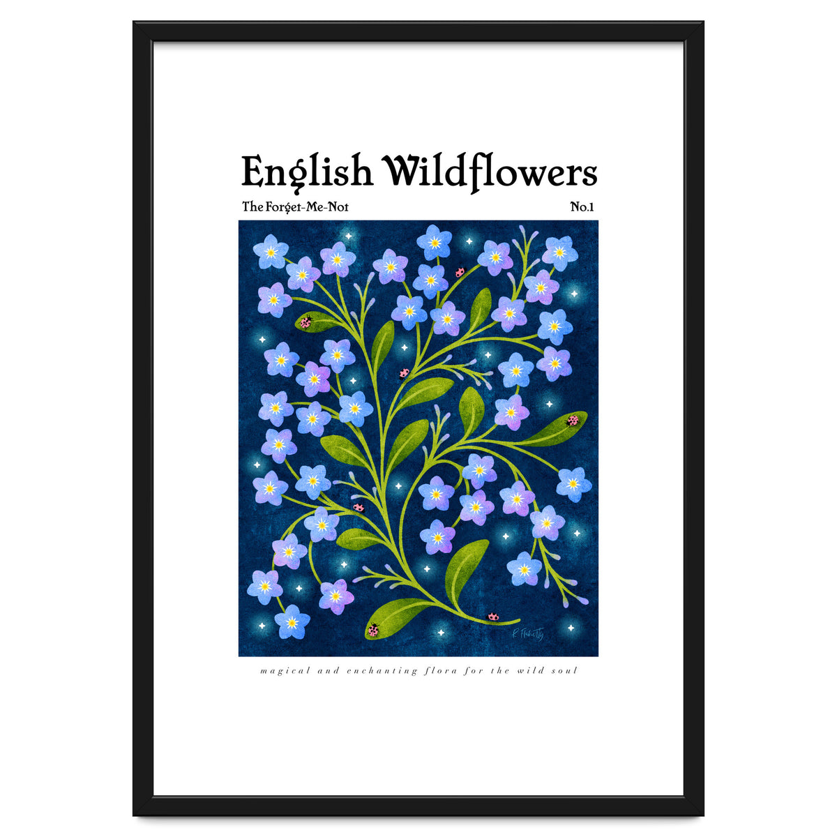 English Wildflowers | Forget-Me-Not