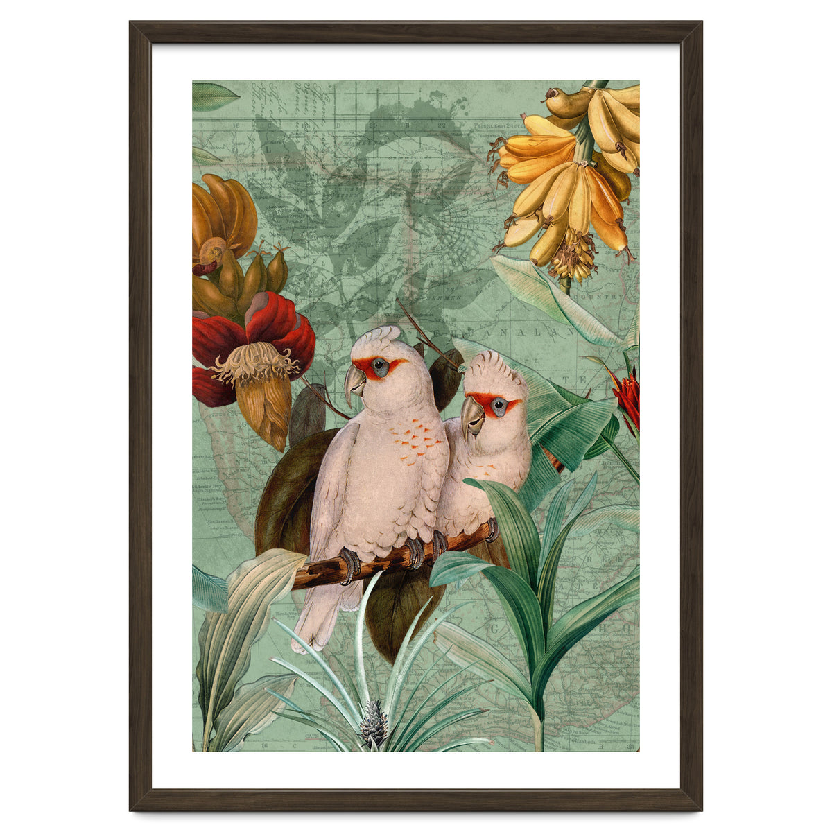 Green Cockatoo Exotic Bird Jungle