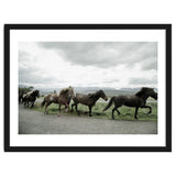 Running horses - Iceland thumbnail