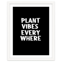 Plant vibes everywhere