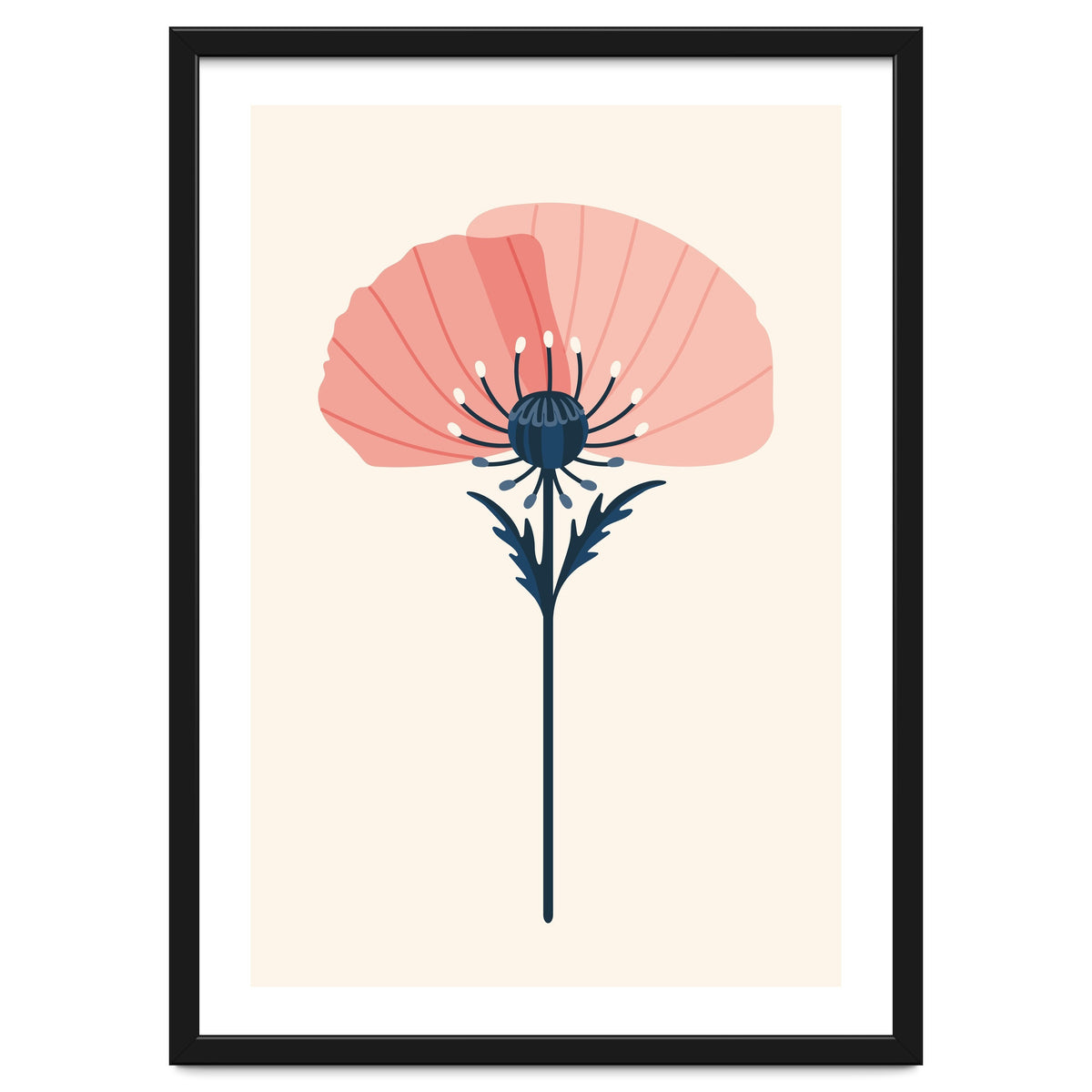 Pink Half Poppy