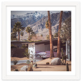 Palm Springs Pink II thumbnail