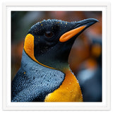 King Penguin With Water Droplets In Rain thumbnail