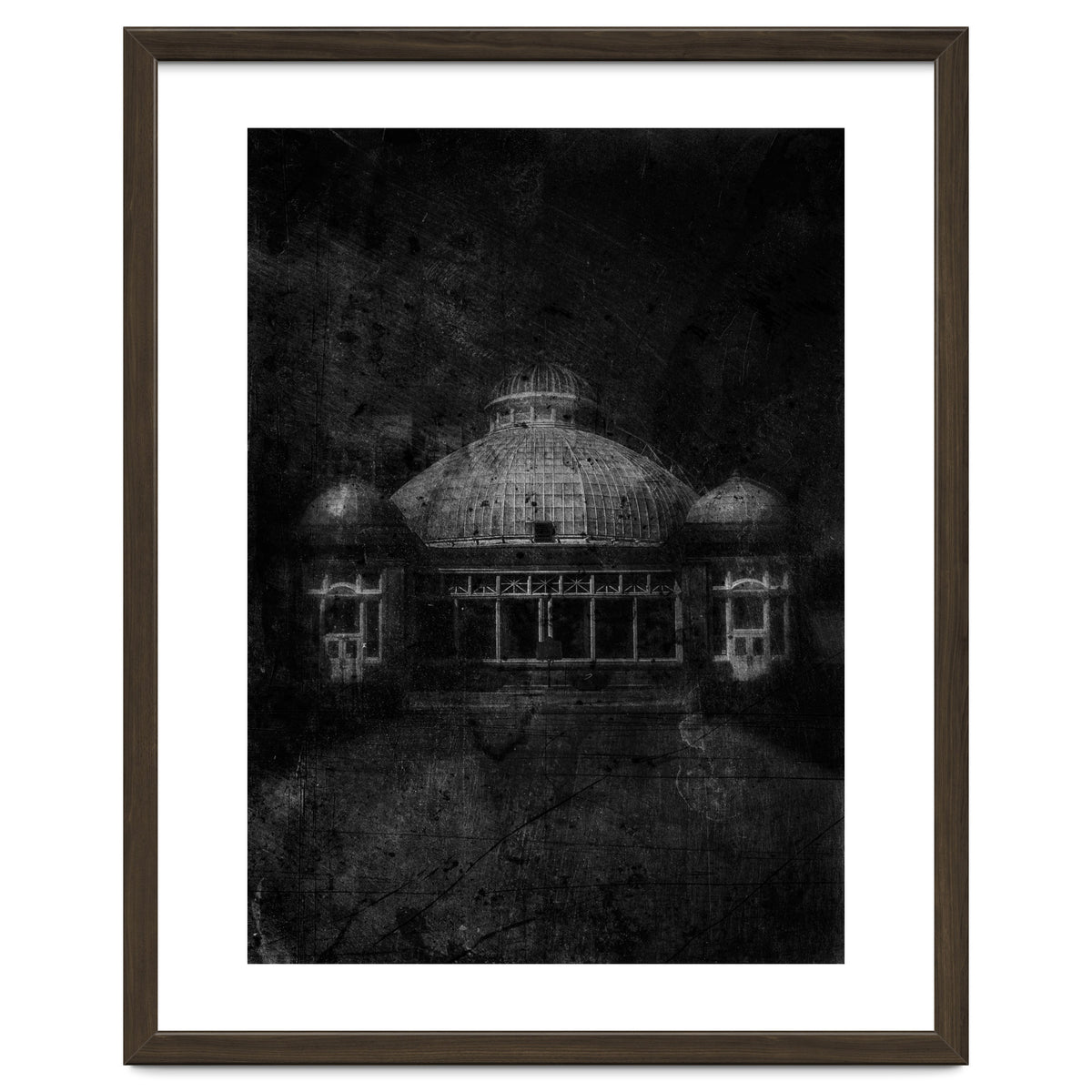 Allan Gardens Conservatory Palm House No 3 Old Film Version