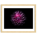 Backyard Flowers No 57 Color Version thumbnail