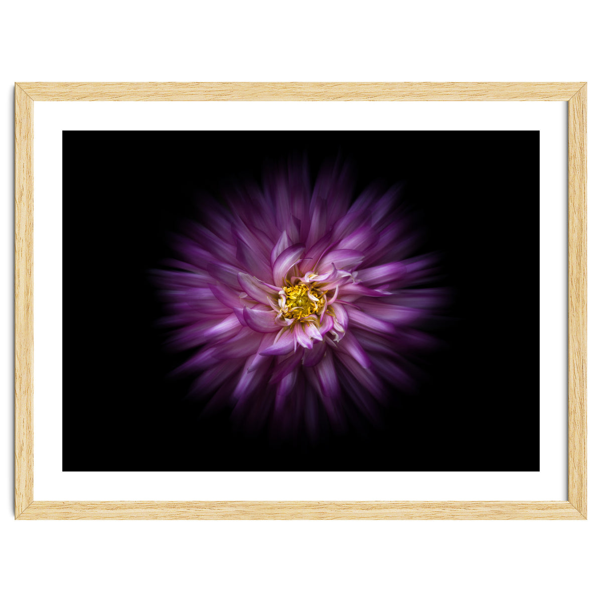 Backyard Flowers No 20 Color Flow Version