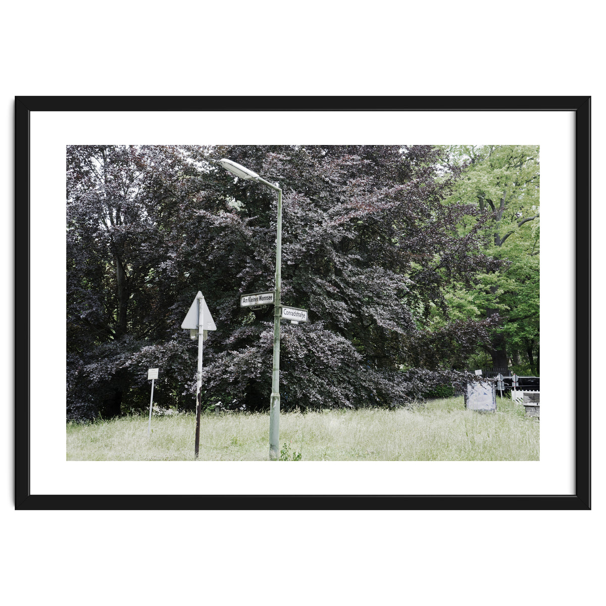 Signs at the corner of the street