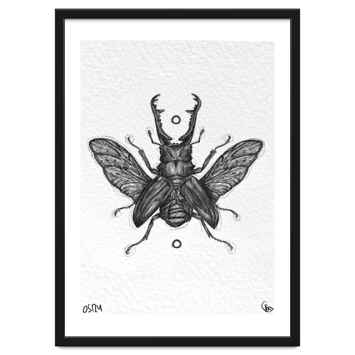 Giraffen Hirschkäfer