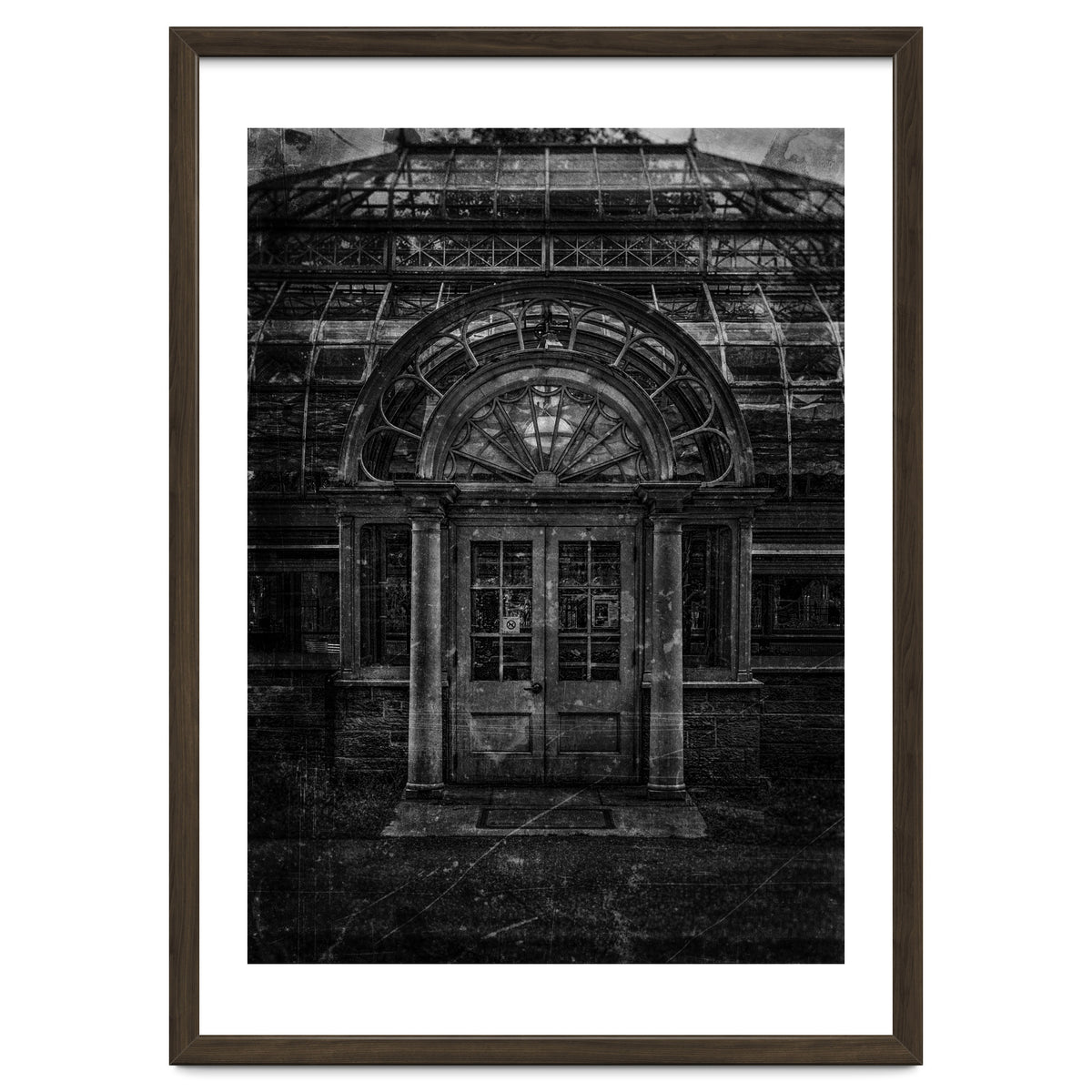 Allan Gardens Conservatory Palm House No 5 Old Film Version