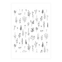 Wildflowers Minimalist Pattern (Print Only)