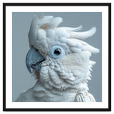 White Cockatoo Bird Portrait Close Up thumbnail