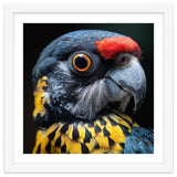 Close-up Portrait of a Vibrant Parrot thumbnail