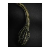 Gourds No 9 Color Version (Print Only)