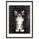 Bicolor Cute Kitten Portrait thumbnail