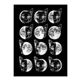 Cat Moon Phases (Print Only) thumbnail