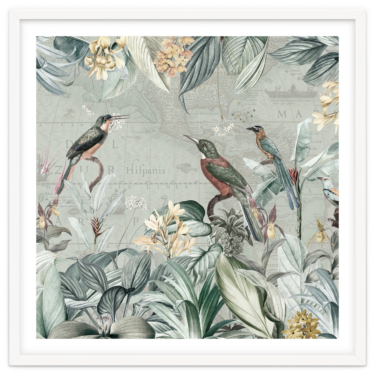 Vintage Exotic Birds Paradise Jungle