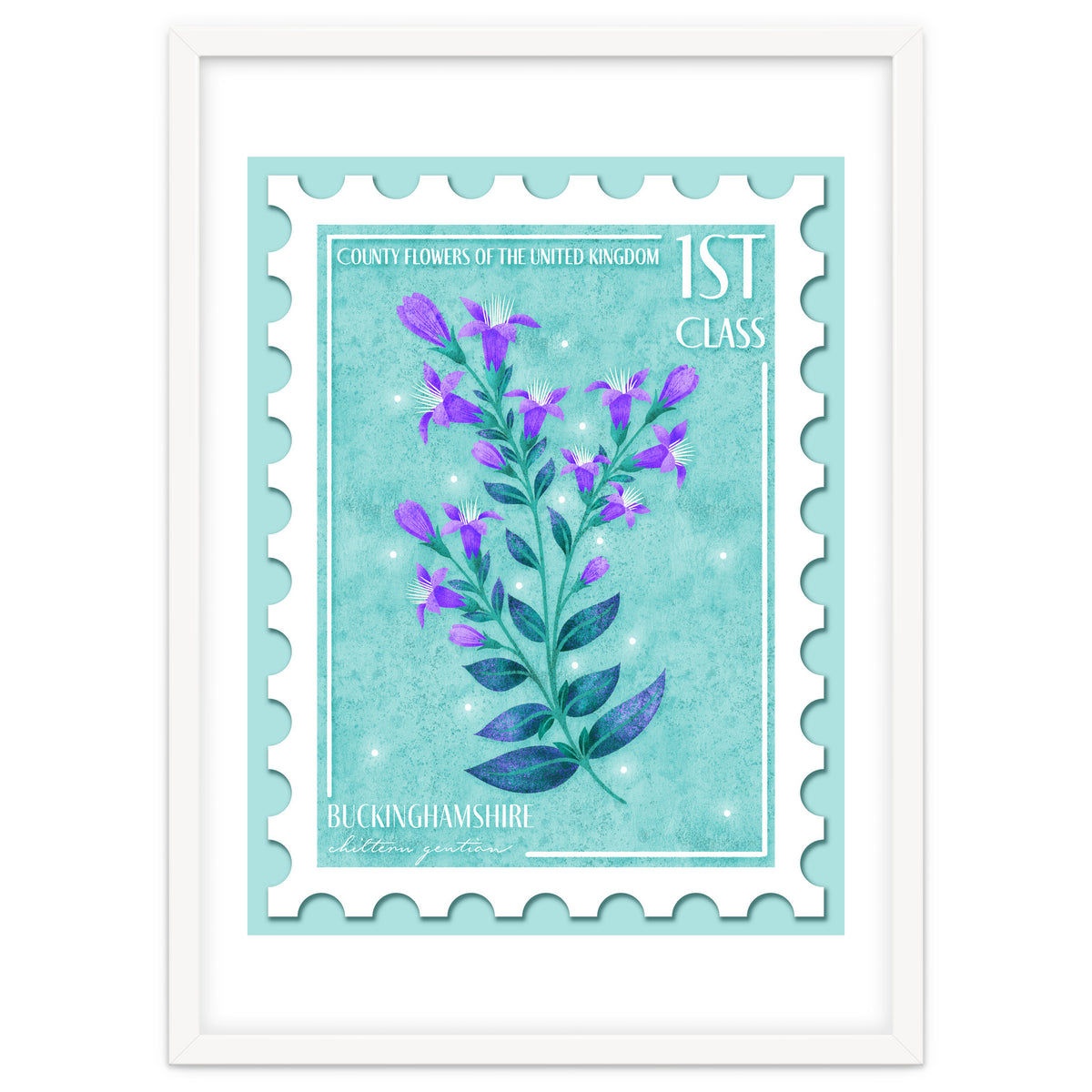 The Buckinghamshire Chiltern Gentian Postage Stamp