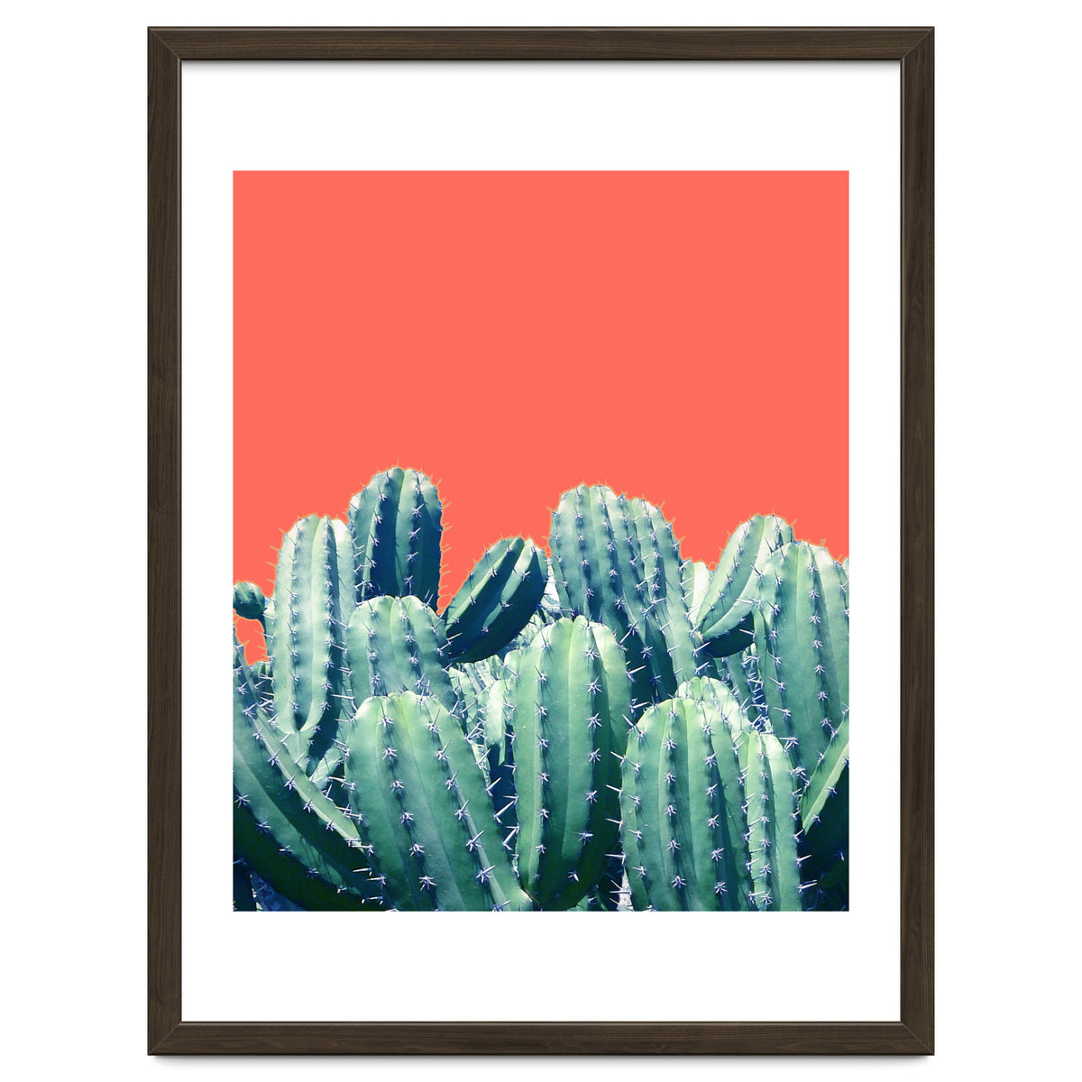 Cactus On Coral