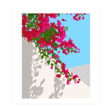 Bougainvillea Blossom, Greece Tropical Summer Travel, Santorini Architecture White Buildings Floral Nature Garden (Print Only) thumbnail