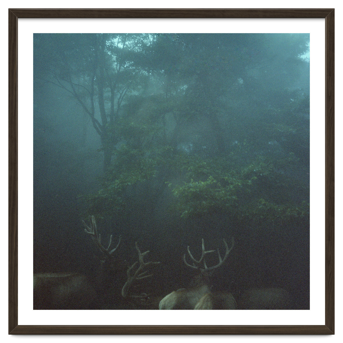 Silence of breath - 12