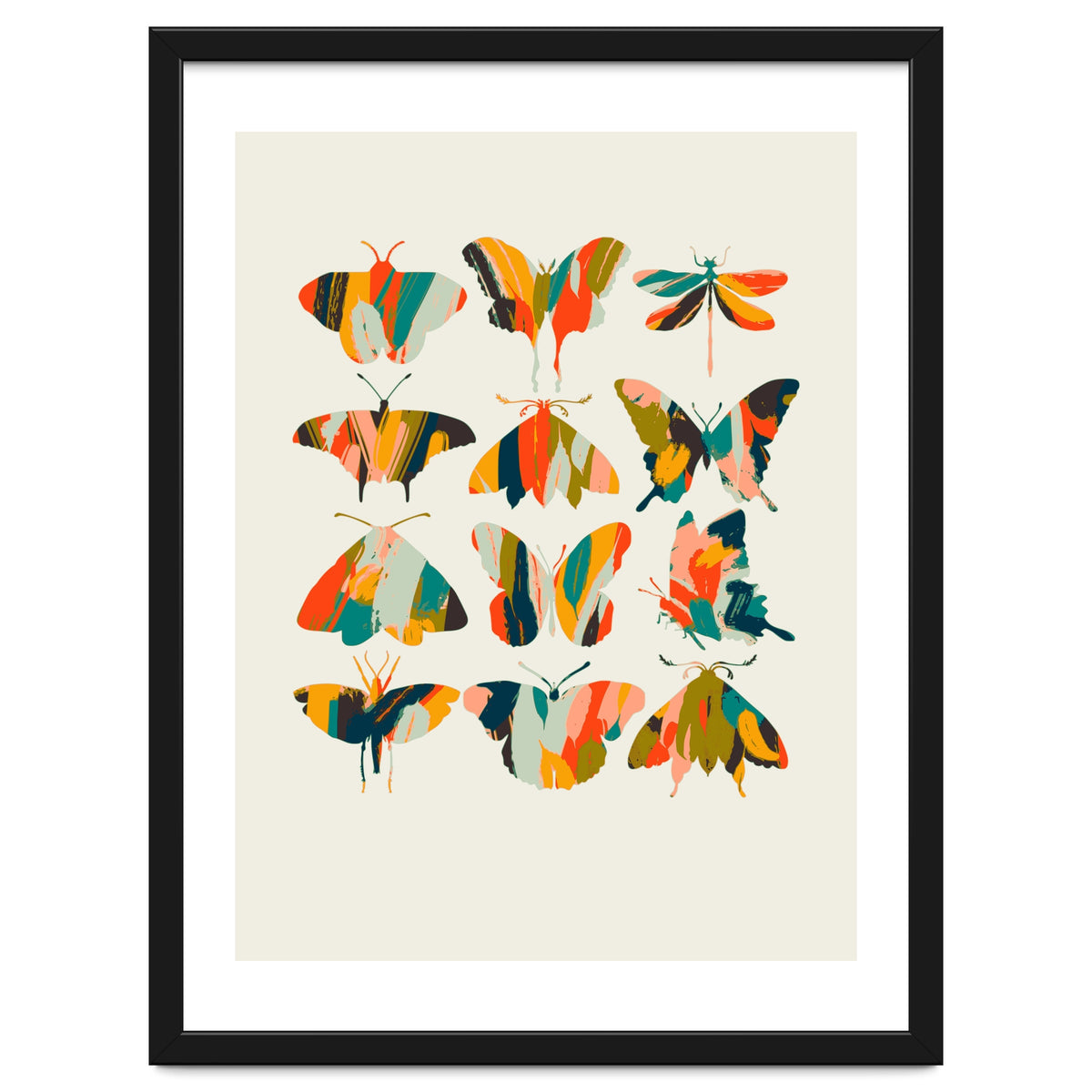 Colorful Butterflies