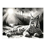 Lynx Resting In Sunlight (Print Only) thumbnail