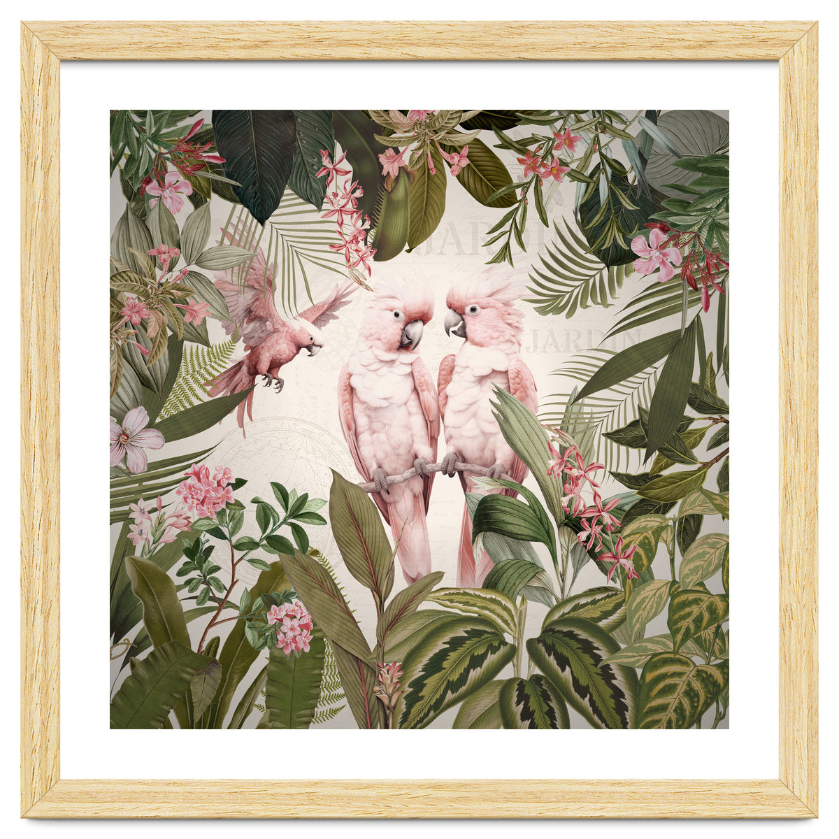 Pink Parrots Exotic Rainforest