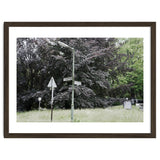Signs at the corner of the street thumbnail
