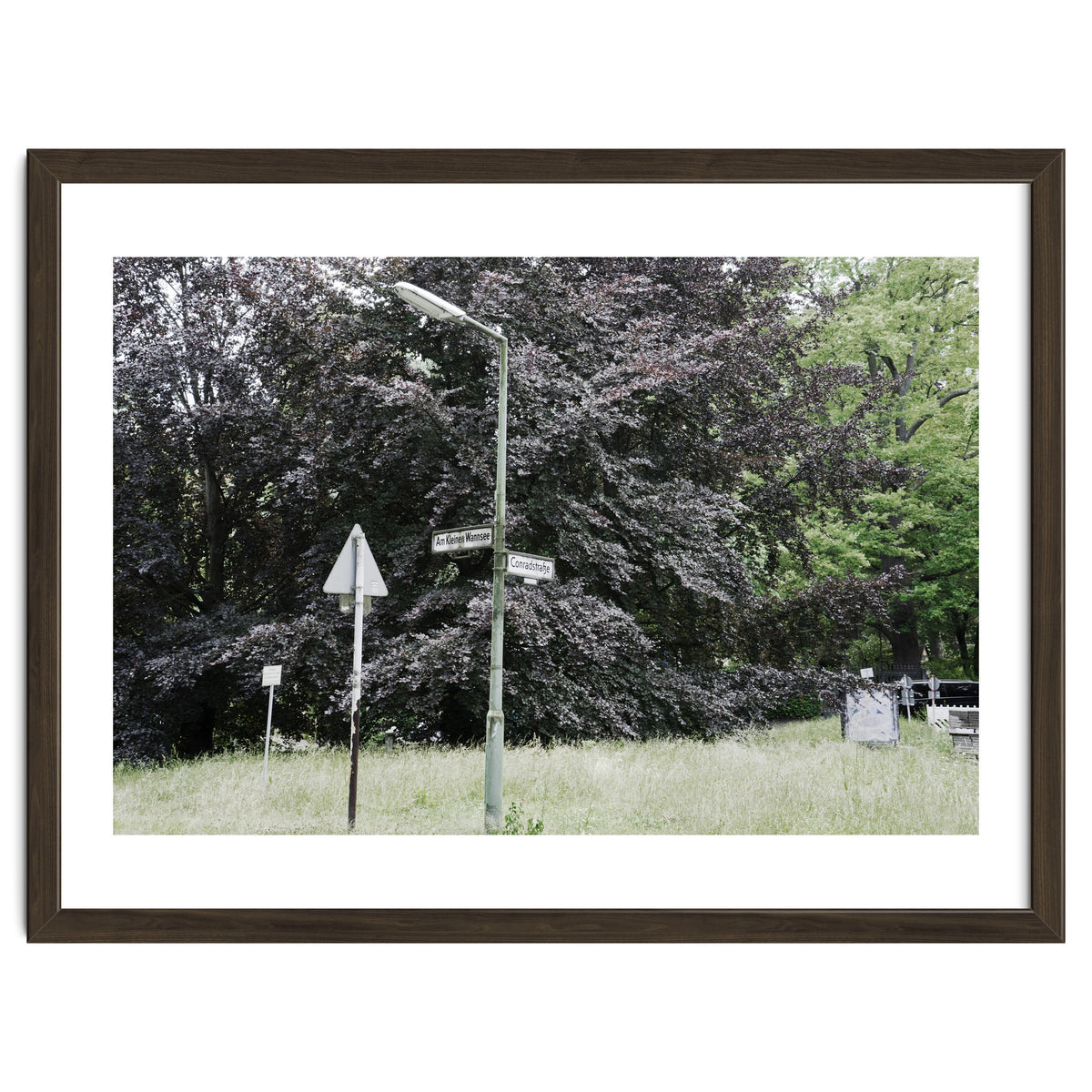 Signs at the corner of the street