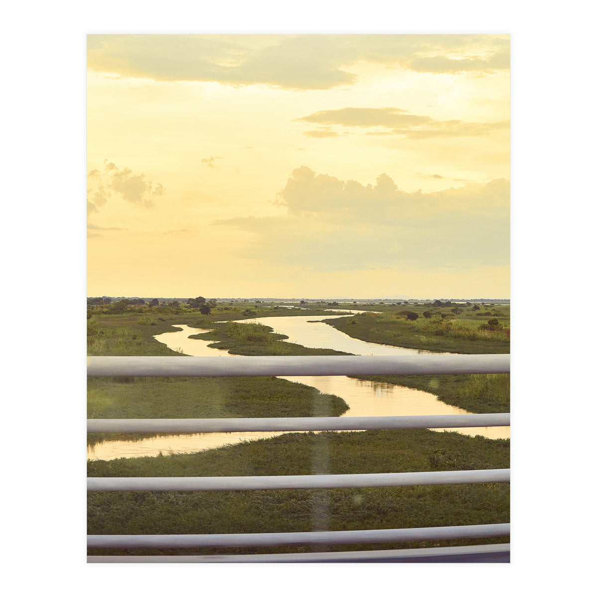 DESTINED (Print Only)