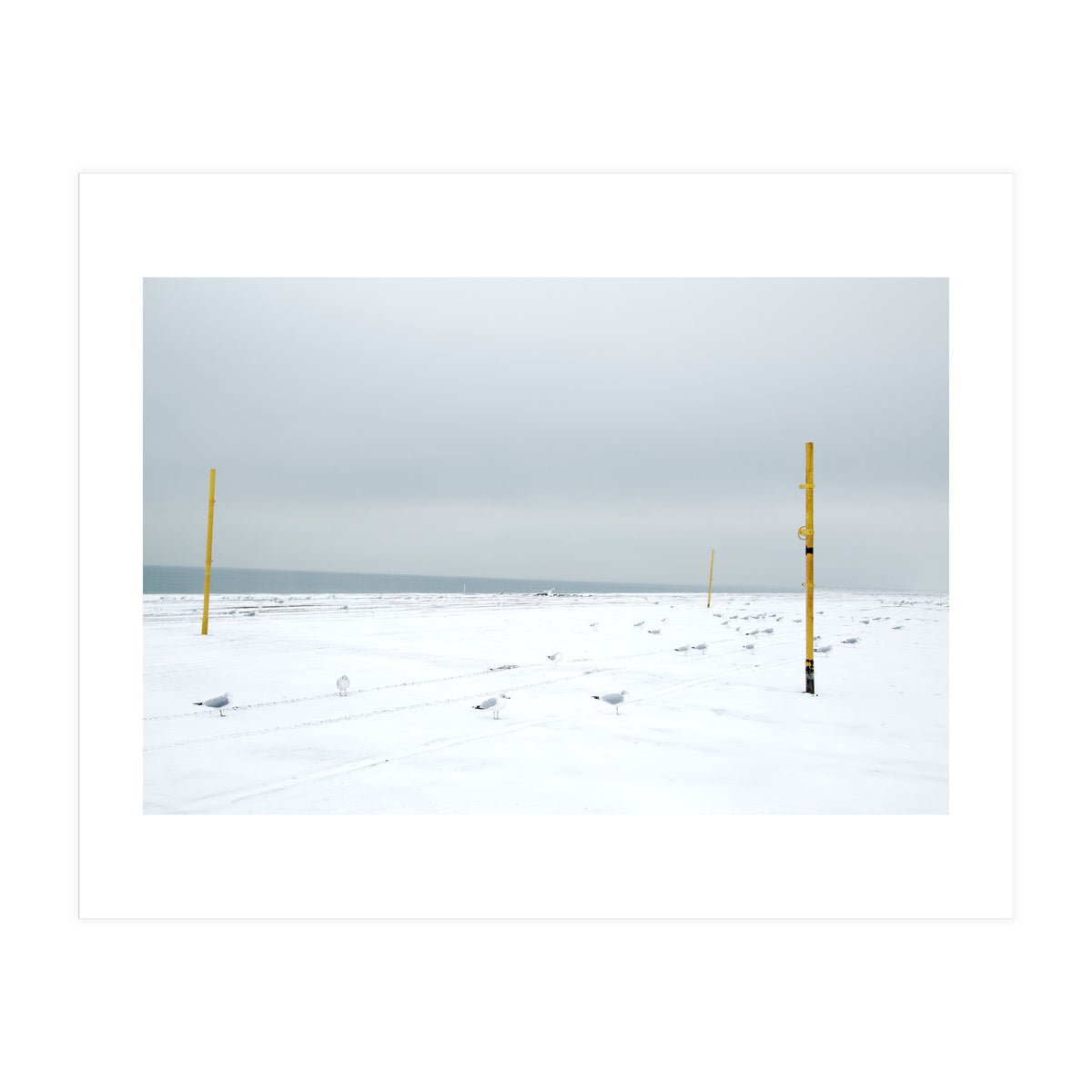 Seagulls in between the volleyball poles in winter snow beach (Print Only)
