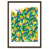 Summer Strelitzia thumbnail
