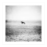 Sea Horse (Print Only) thumbnail
