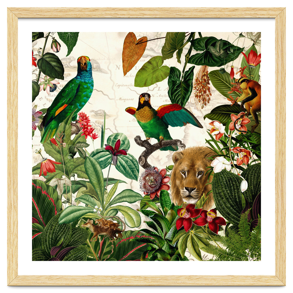 Exotic Lush Jungle And Wild Animals Landscape