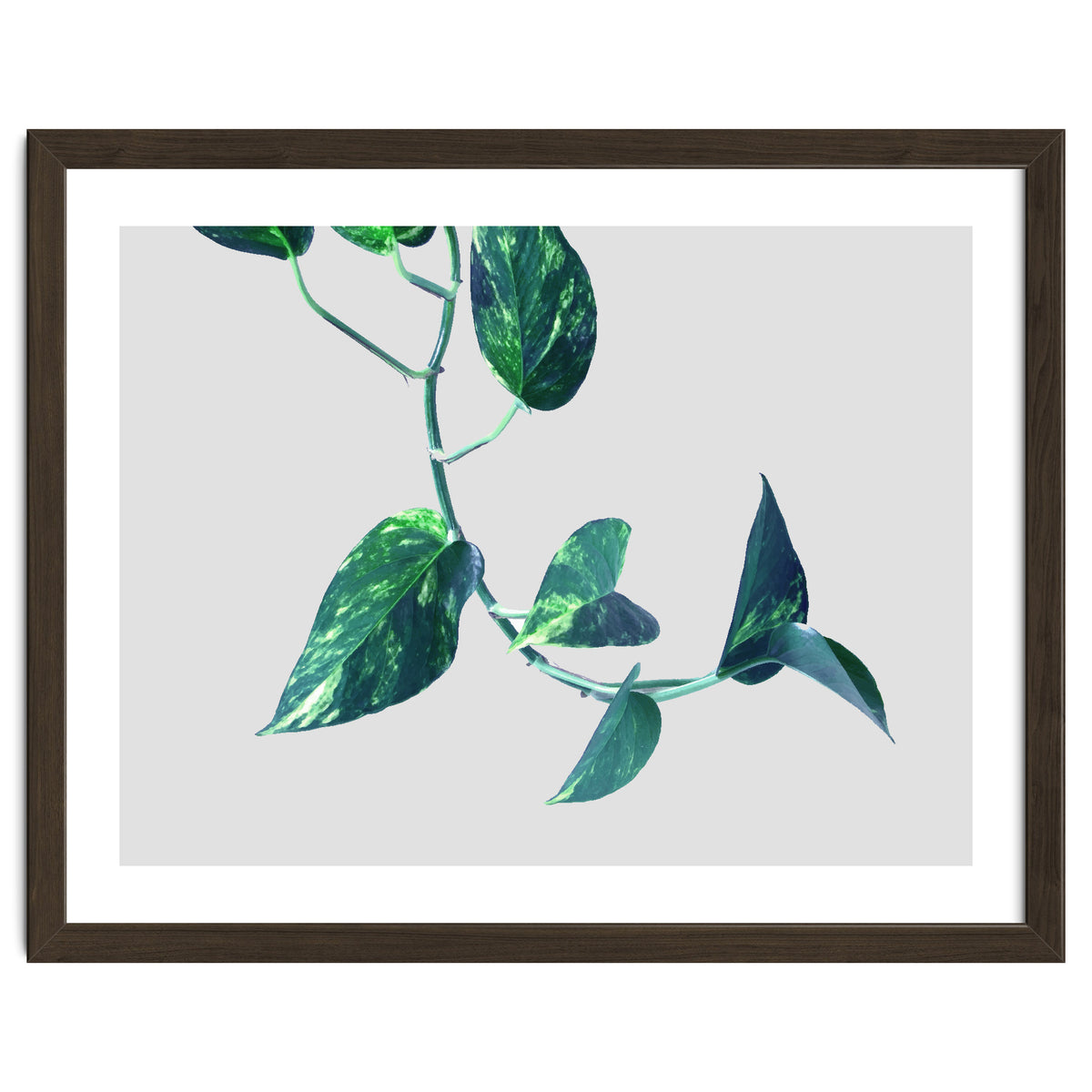 Projection & Emotion