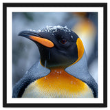 King Penguin In Falling Snow thumbnail