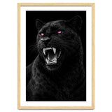 Black leopard with colorful eyes portrait thumbnail