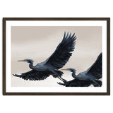Migrating Herons thumbnail