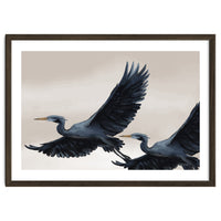 Migrating Herons