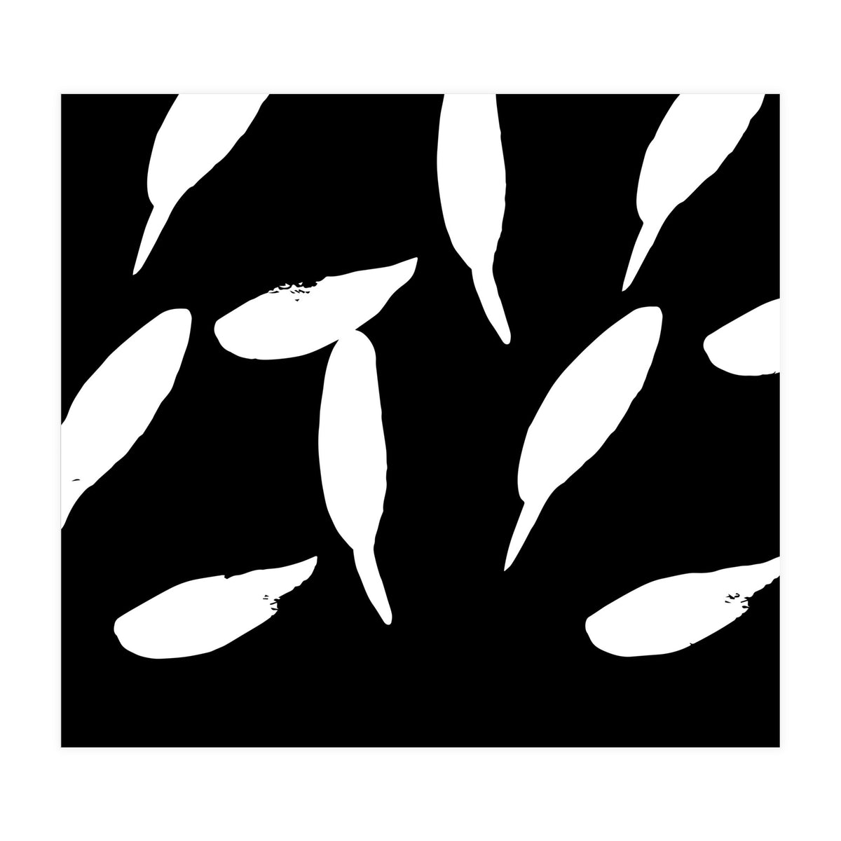 Free Fall (Print Only)