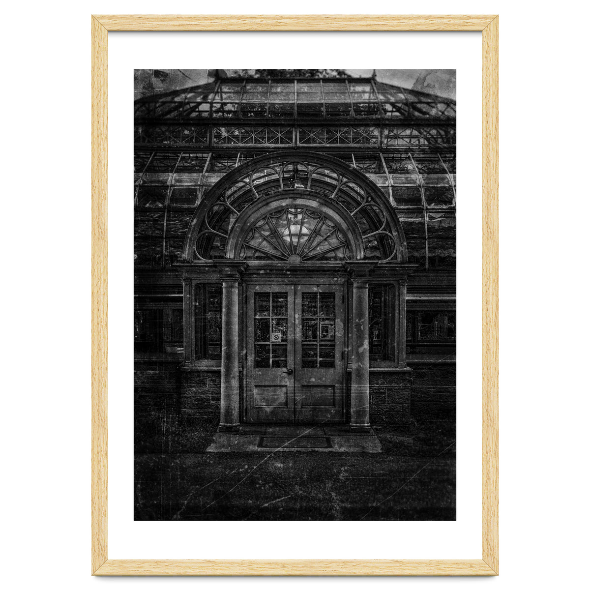 Allan Gardens Conservatory Palm House No 5 Old Film Version