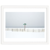 Fake palm tree in the winter snow beach thumbnail