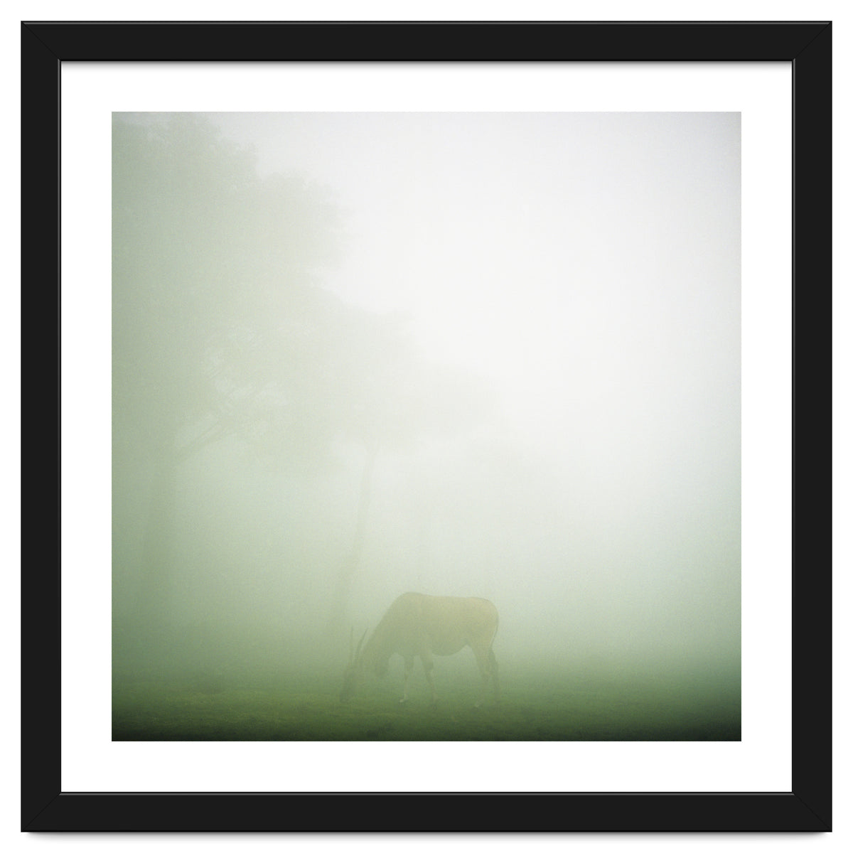 Silence of breath - 09