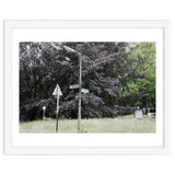 Signs at the corner of the street thumbnail