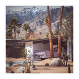 Palm Springs Pink II (Print Only) thumbnail