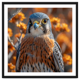Close Up Of A Kestrel Bird Of Prey thumbnail