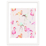 Flamingo Formation thumbnail