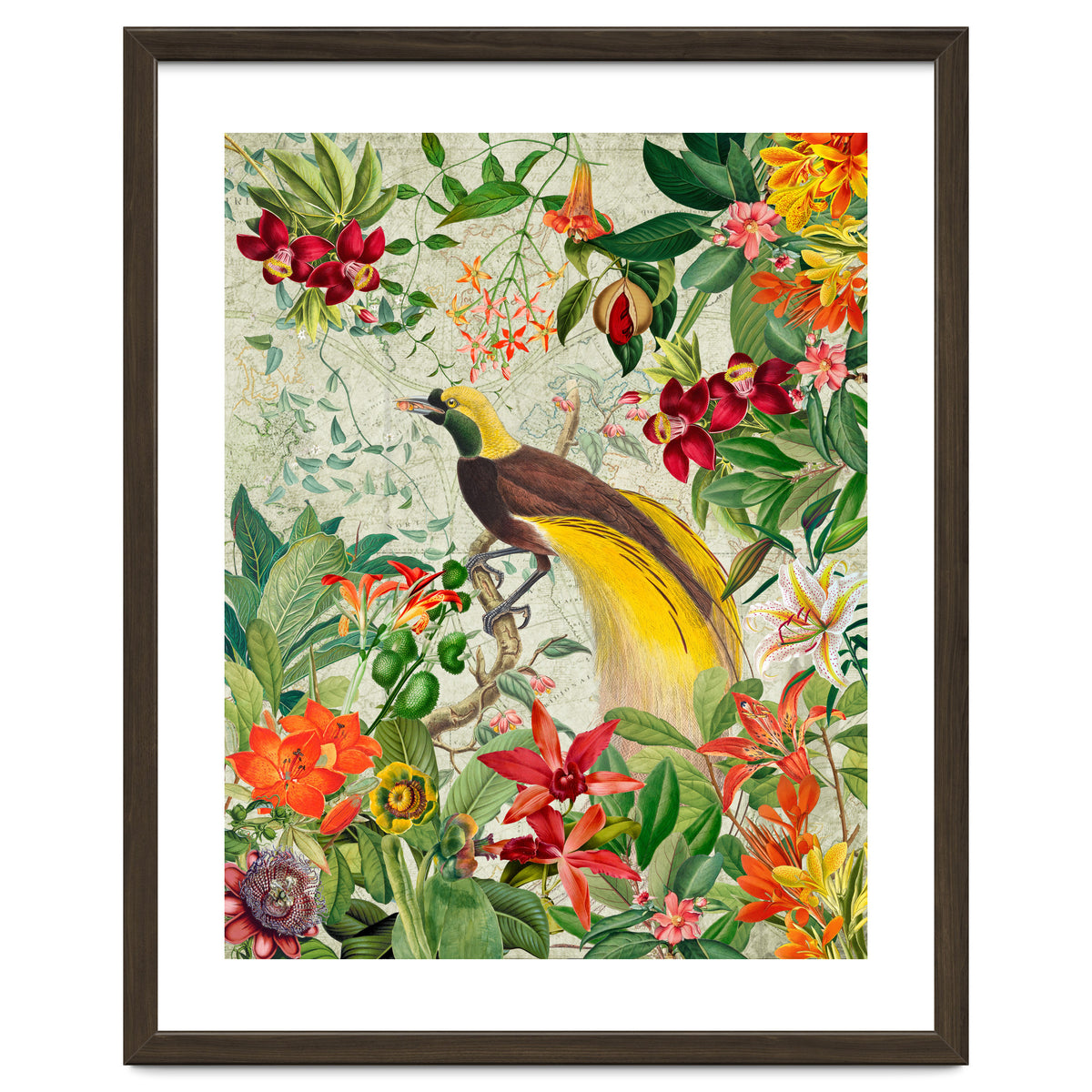 Bird of paradise vintage jungle